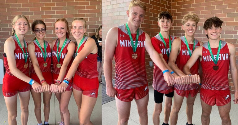 minerva relays