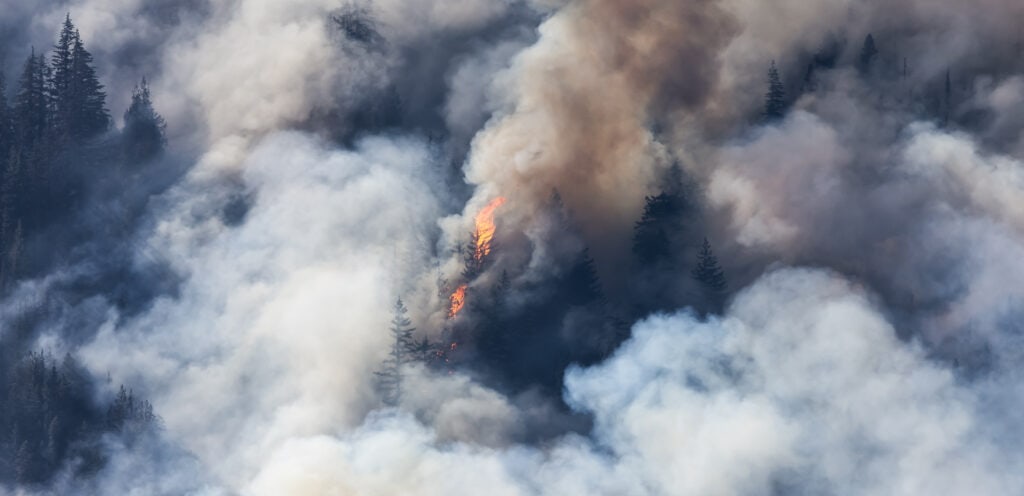 bc forest fire and smoke over the mountain near hope