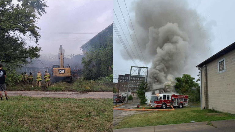 alliance fire